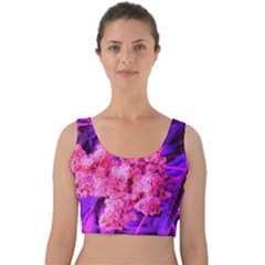 Pink And Blue Sideways Sumac Velvet Crop Top