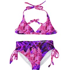 Pink And Blue Sideways Sumac Kids  Classic Bikini Set