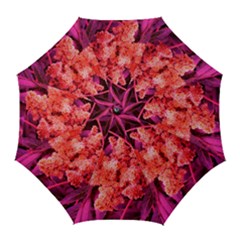 Pink Sideways Sumac Golf Umbrellas by okhismakingart