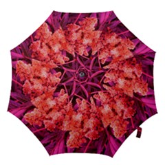 Pink Sideways Sumac Hook Handle Umbrellas (medium) by okhismakingart