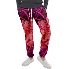 Pink Sideways Sumac Men s Jogger Sweatpants by okhismakingart