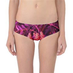 Pink Sideways Sumac Classic Bikini Bottoms by okhismakingart