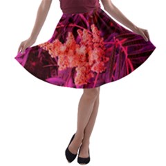 Pink Sideways Sumac A-line Skater Skirt by okhismakingart