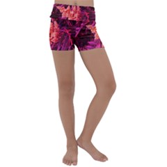 Pink Sideways Sumac Kids  Lightweight Velour Yoga Shorts