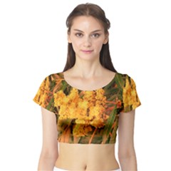 Yellow Sideways Sumac Short Sleeve Crop Top by okhismakingart