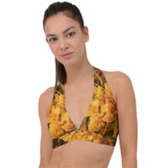 Yellow Sideways Sumac Halter Plunge Bikini Top