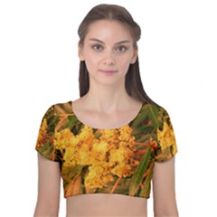 Yellow Sideways Sumac Velvet Short Sleeve Crop Top  by okhismakingart