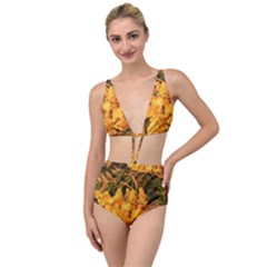 Yellow Sideways Sumac Tied Up Two Piece Swimsuit