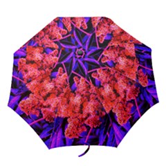 Red And Blue Sideways Sumac Folding Umbrellas by okhismakingart