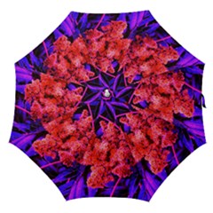 Red And Blue Sideways Sumac Straight Umbrellas by okhismakingart