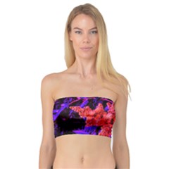 Red And Blue Sideways Sumac Bandeau Top by okhismakingart