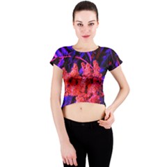 Red And Blue Sideways Sumac Crew Neck Crop Top by okhismakingart