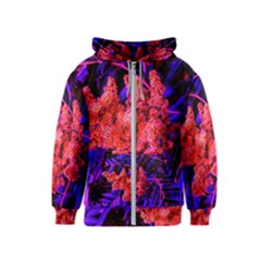 Red And Blue Sideways Sumac Kids  Zipper Hoodie by okhismakingart