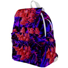 Red And Blue Sideways Sumac Top Flap Backpack