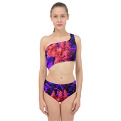 Red And Blue Sideways Sumac Spliced Up Two Piece Swimsuit by okhismakingart