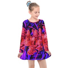 Red And Blue Sideways Sumac Kids  Long Sleeve Dress