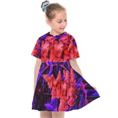 Red And Blue Sideways Sumac Kids  Sailor Dress by okhismakingart