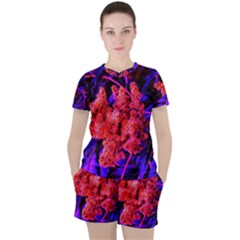 Red And Blue Sideways Sumac Women s Tee And Shorts Set