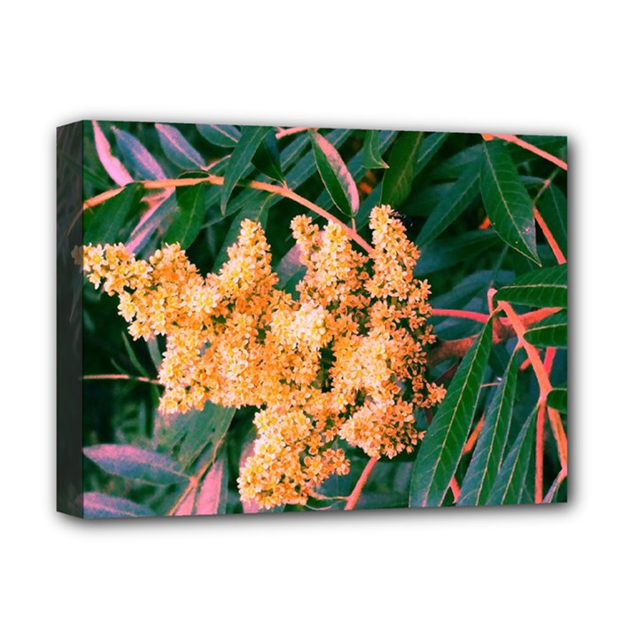 Green and Gold Sideways Sumac Deluxe Canvas 16  x 12  (Stretched) 