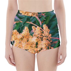 Green And Gold Sideways Sumac High-waisted Bikini Bottoms by okhismakingart