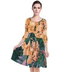 Green And Gold Sideways Sumac Quarter Sleeve Waist Band Dress