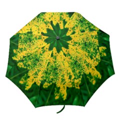 Yellow Sumac Bloom Folding Umbrellas by okhismakingart