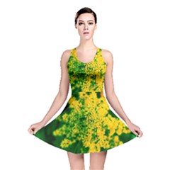 Yellow Sumac Bloom Reversible Skater Dress by okhismakingart