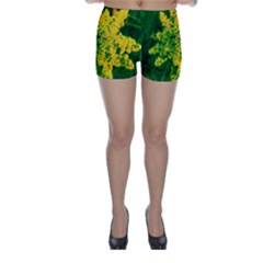 Yellow Sumac Bloom Skinny Shorts by okhismakingart