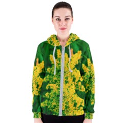 Yellow Sumac Bloom Women s Zipper Hoodie by okhismakingart