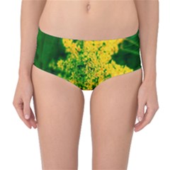 Yellow Sumac Bloom Mid-waist Bikini Bottoms by okhismakingart