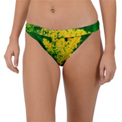 Yellow Sumac Bloom Band Bikini Bottom