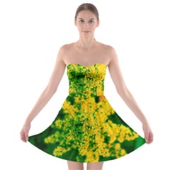 Yellow Sumac Bloom Strapless Bra Top Dress by okhismakingart