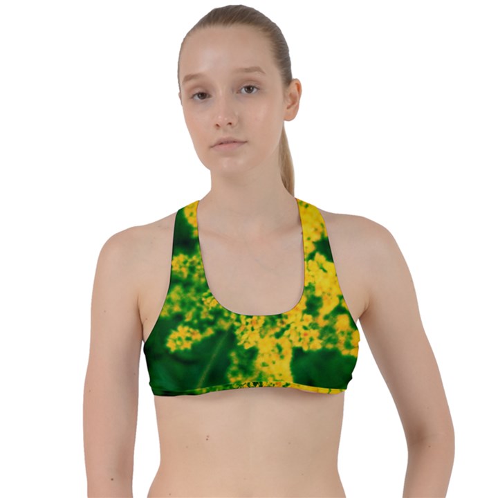 Yellow Sumac Bloom Criss Cross Racerback Sports Bra