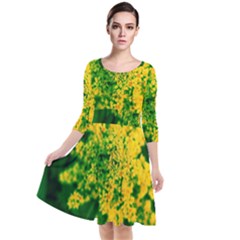 Yellow Sumac Bloom Quarter Sleeve Waist Band Dress