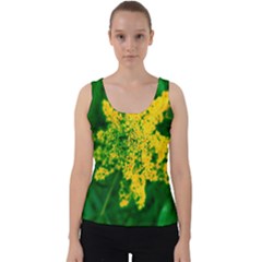 Yellow Sumac Bloom Velvet Tank Top by okhismakingart