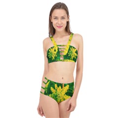 Yellow Sumac Bloom Cage Up Bikini Set