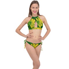 Yellow Sumac Bloom Cross Front Halter Bikini Set