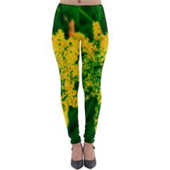 Yellow Sumac Bloom Lightweight Velour Leggings by okhismakingart