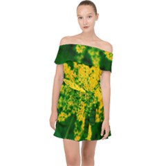 Yellow Sumac Bloom Off Shoulder Chiffon Dress