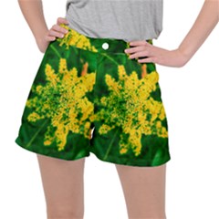 Yellow Sumac Bloom Stretch Ripstop Shorts