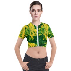 Yellow Sumac Bloom Short Sleeve Cropped Jacket by okhismakingart