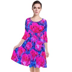 Rose Bowls Quarter Sleeve Waist Band Dress