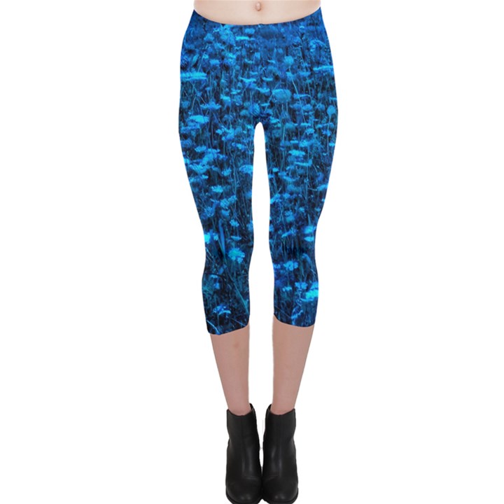 Blue Queen Anne s Lace Hillside Capri Leggings 