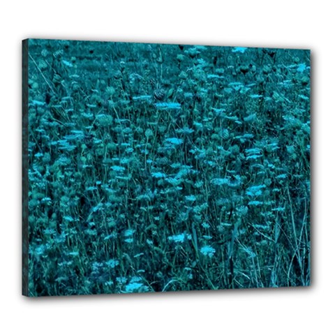 Blue-green Queen Annes Lace Hillside Canvas 24  X 20  (stretched) by okhismakingart