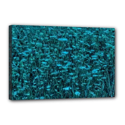 Blue-green Queen Annes Lace Hillside Canvas 18  X 12  (stretched) by okhismakingart