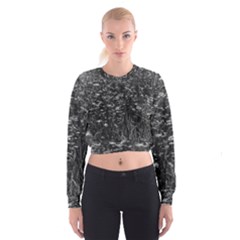 Black And White Queen Anne s Lace Hillside Cropped Sweatshirt by okhismakingart