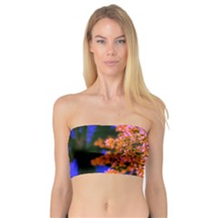 Yellow, Pink, And Blue Sumac Bloom Bandeau Top by okhismakingart