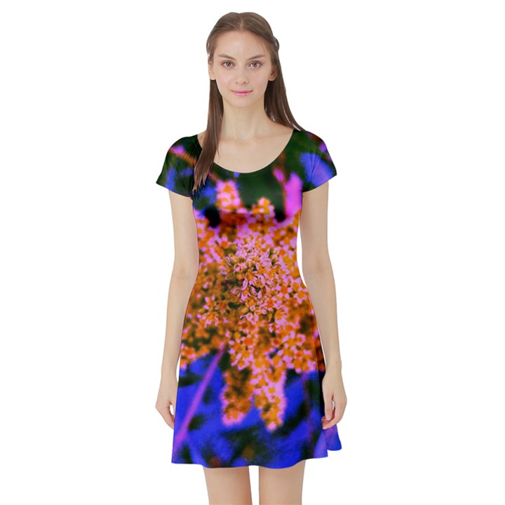 Yellow, Pink, and Blue Sumac Bloom Short Sleeve Skater Dress