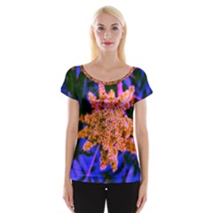 Yellow, Pink, And Blue Sumac Bloom Cap Sleeve Top by okhismakingart