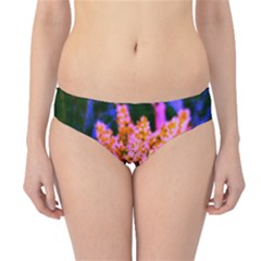 Yellow, Pink, And Blue Sumac Bloom Hipster Bikini Bottoms by okhismakingart